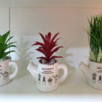 Cozinha/Área de Serviço