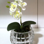 Cozinha/Área de Serviço